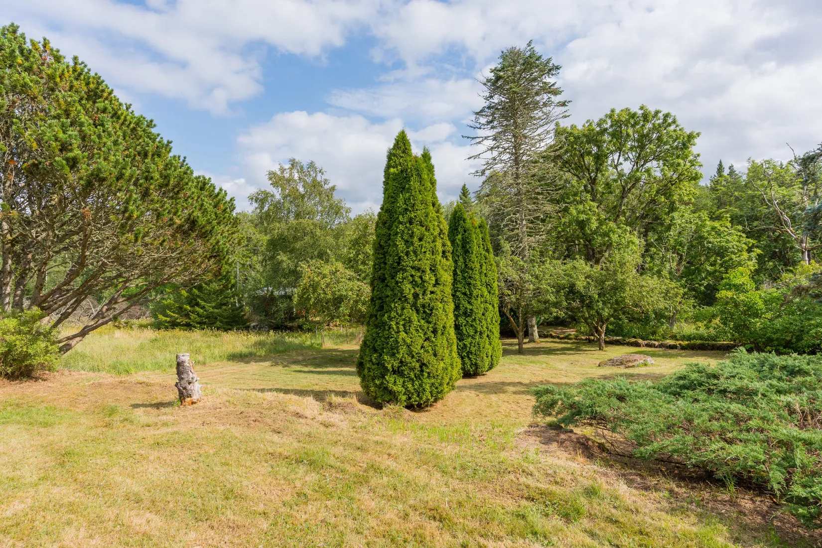 Gård/Skog, Ön Sörgården 1, Vårgårda