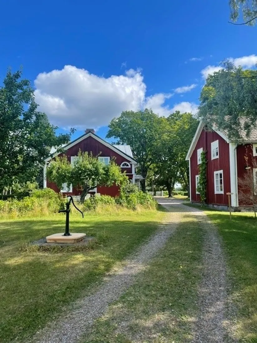 Gård/Skog, Norrbyn 7, By Kyrkby, Avesta