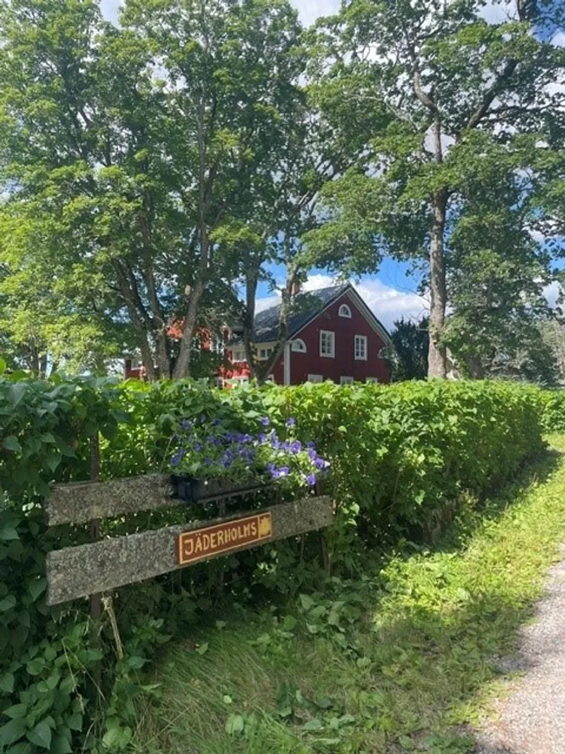 Gård/Skog, Norrbyn 7, By Kyrkby, Avesta