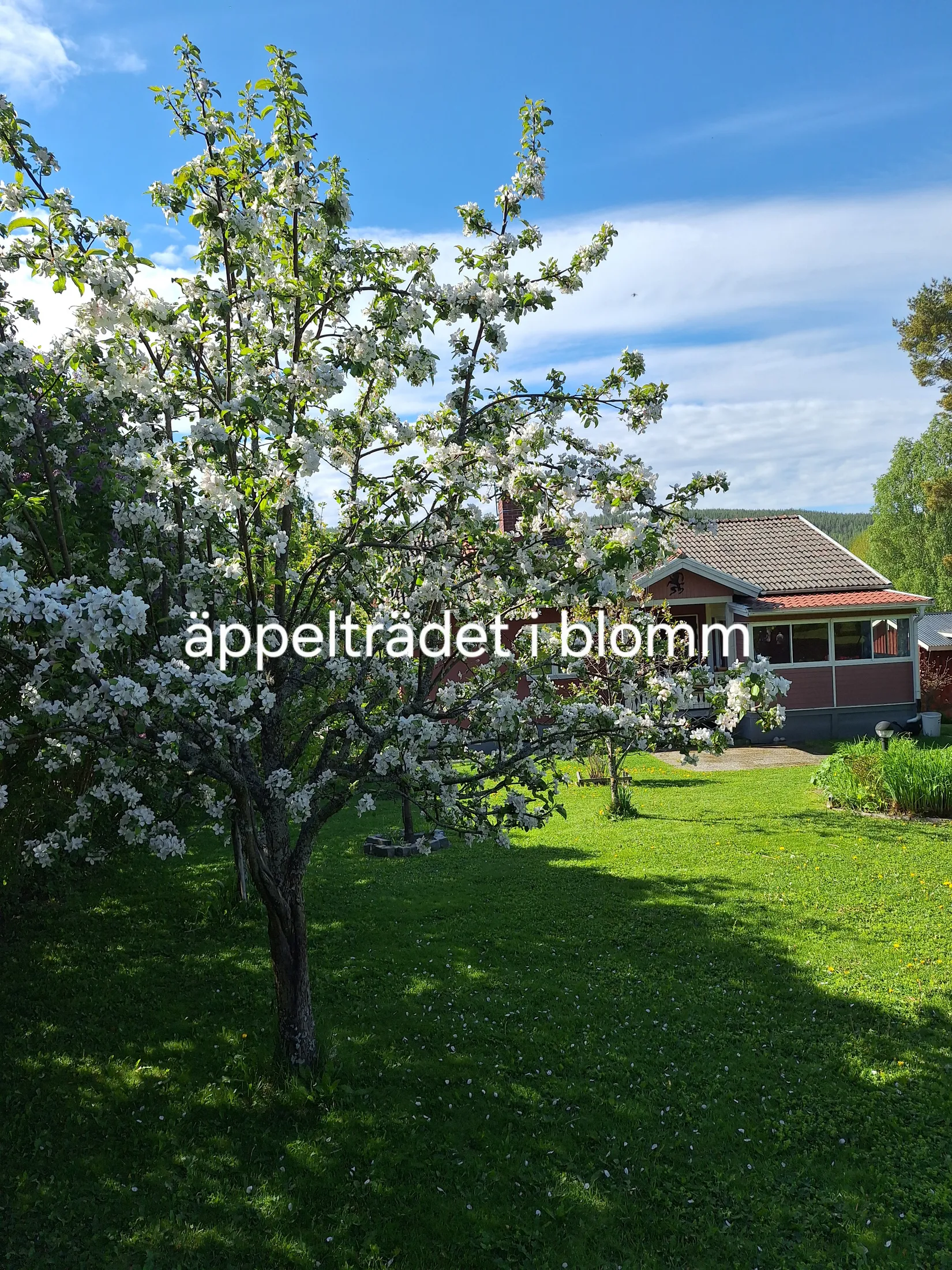 Villa, Movägen 10, Färila, Föne, Ljusdal