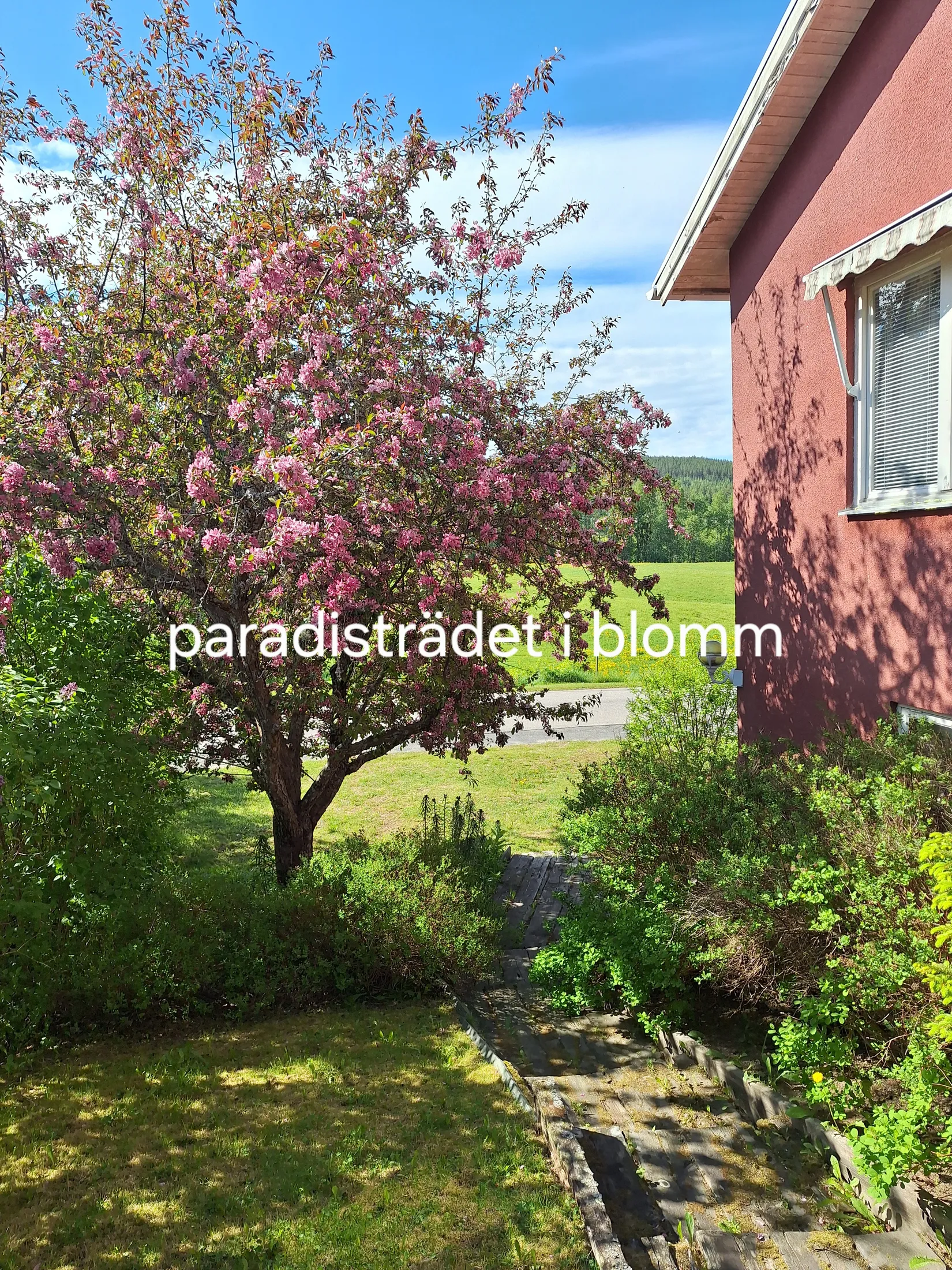 Villa, Movägen 10, Färila, Föne, Ljusdal