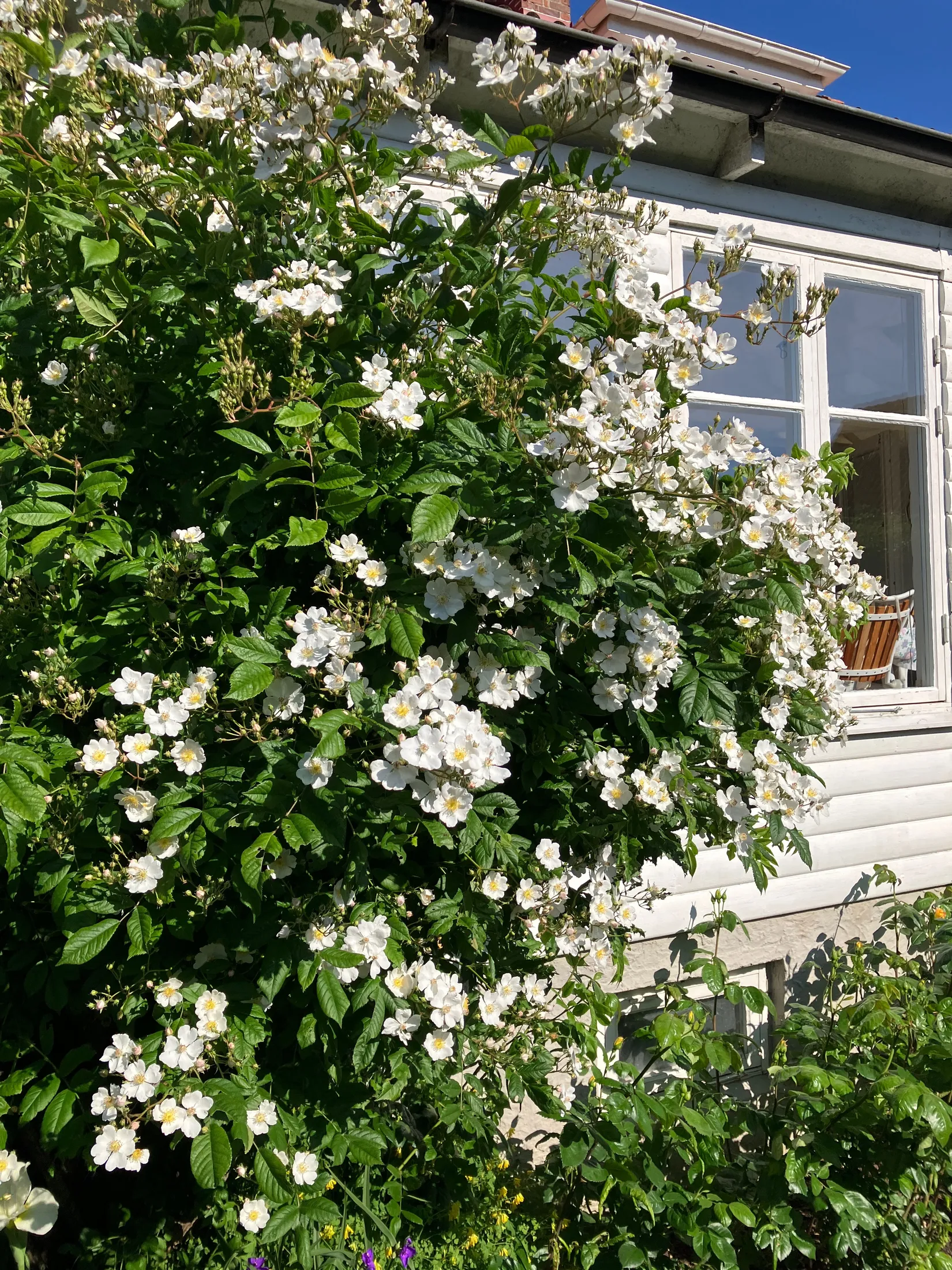 Villa, Bokvägen 4, Höganäs