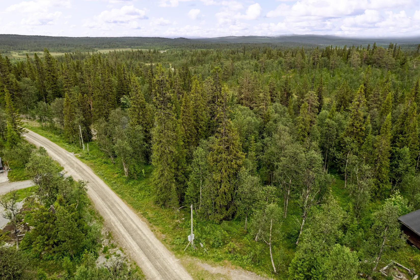 Tomt, Tomt på Rödingstigen, Härjedalen