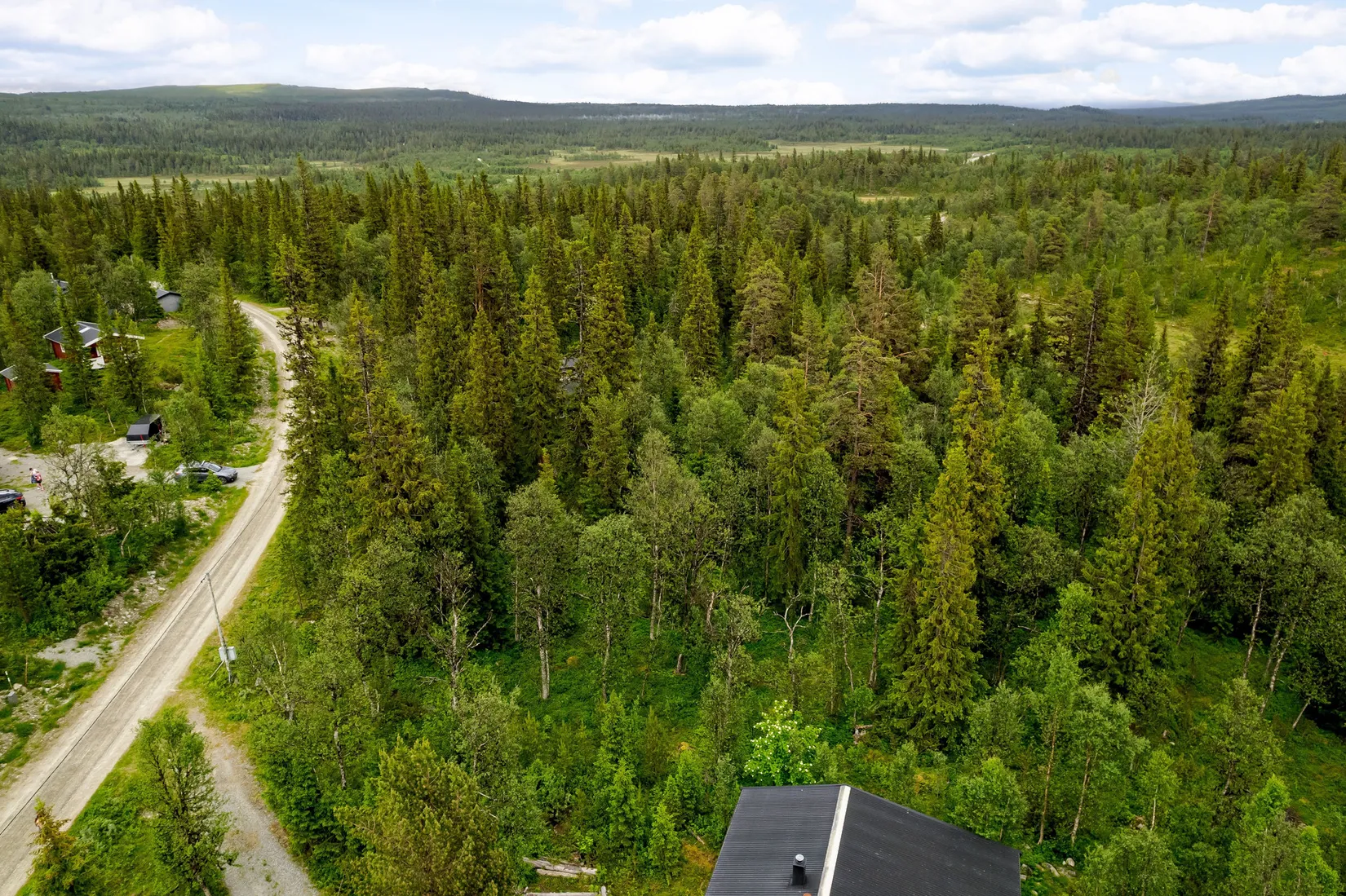 Tomt, Tomt på Rödingstigen, Härjedalen