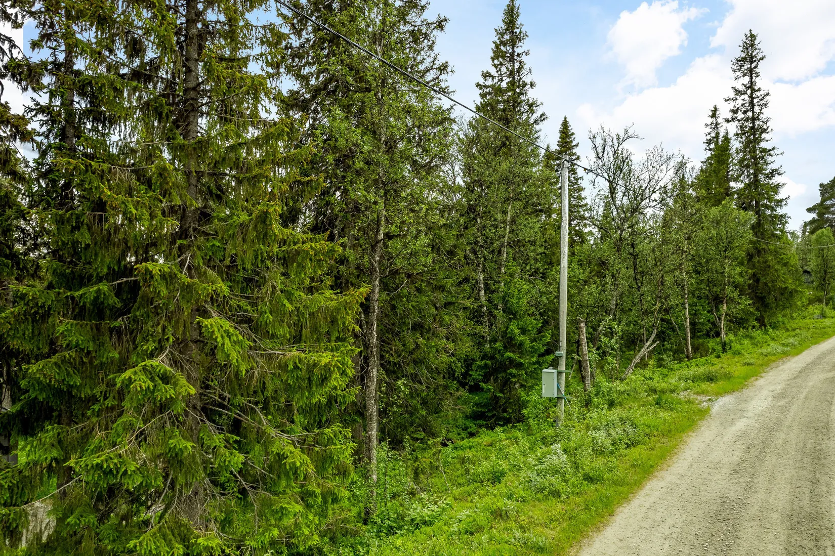 Tomt, Tomt på Rödingstigen, Härjedalen
