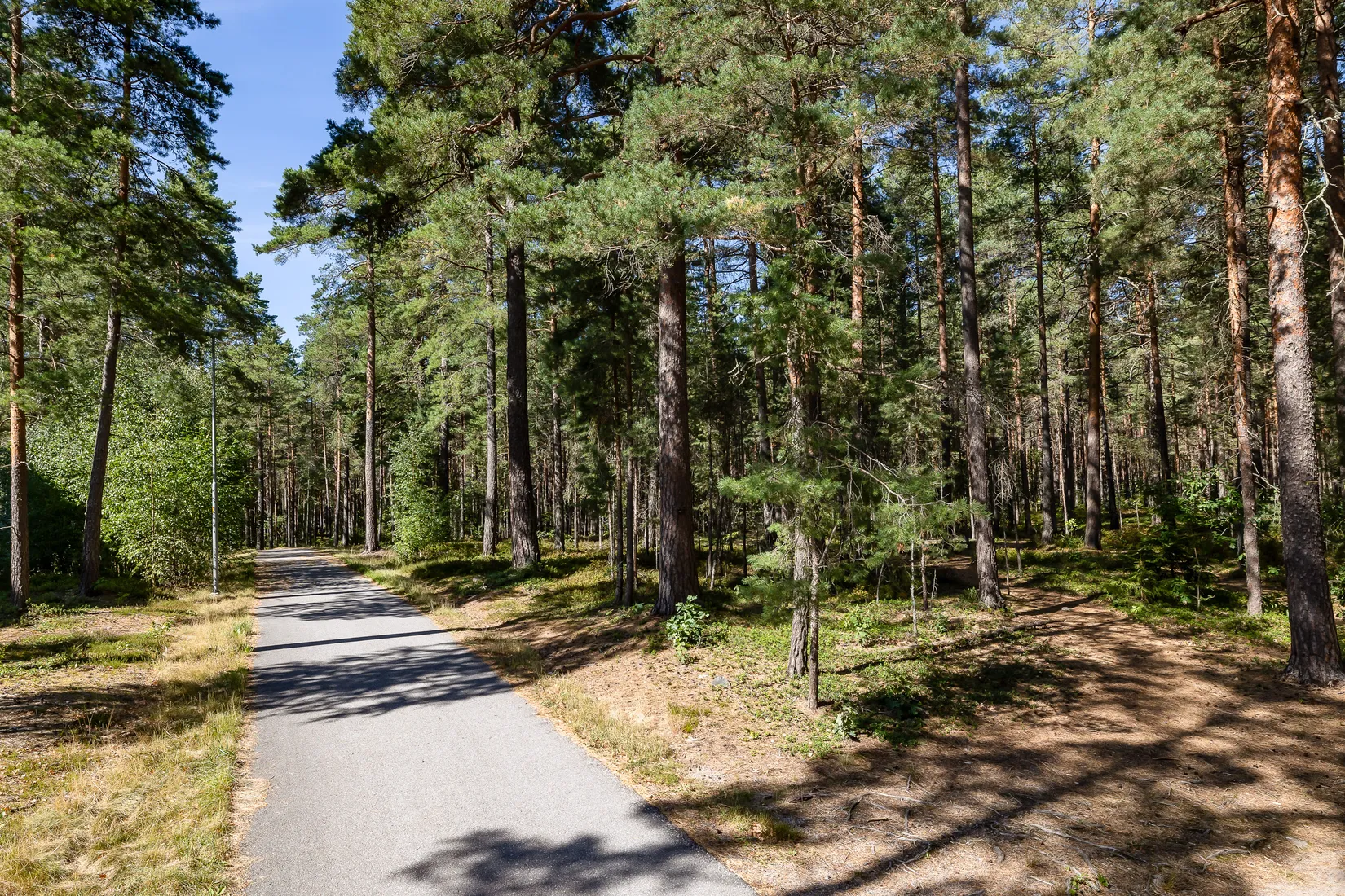 Bostadsrätt, Sanatorieskogen 8, Adolfsberg, Örebro