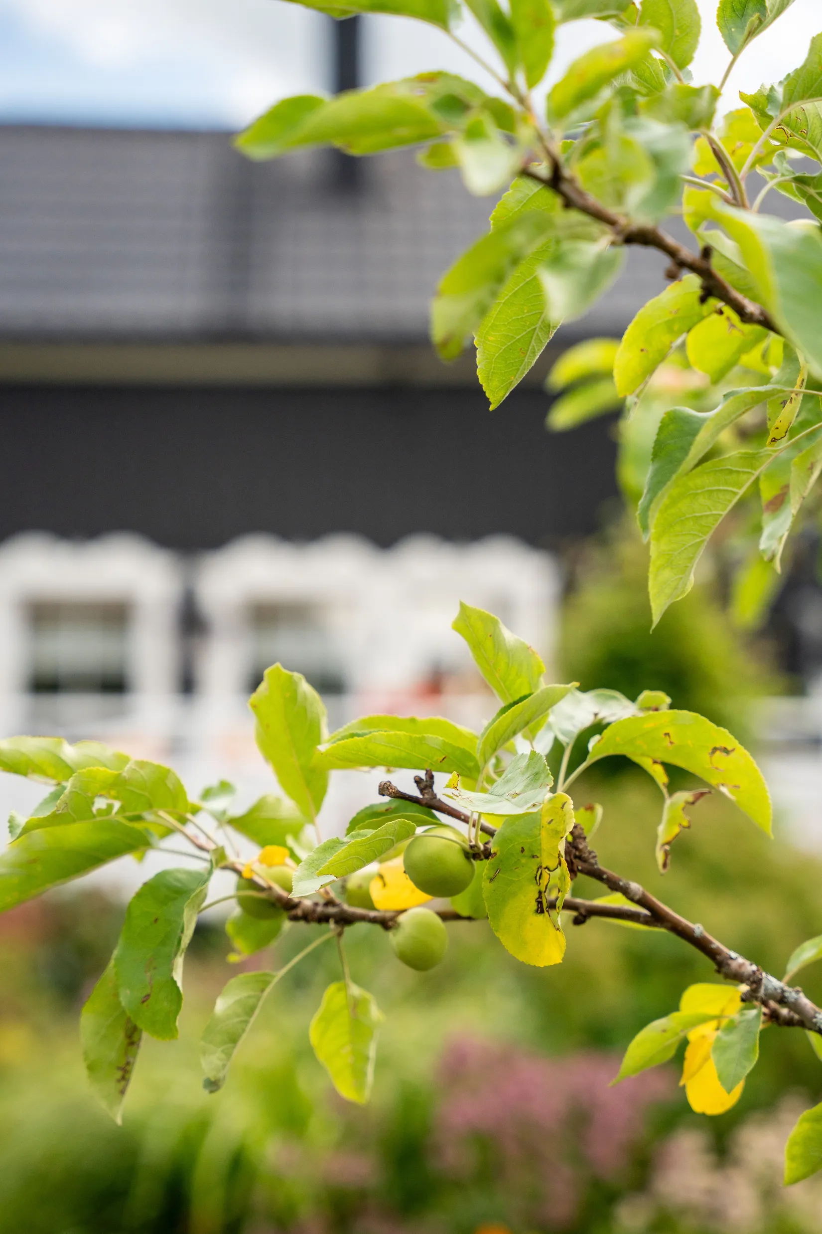 Villa, Boda 261, Sundsvall