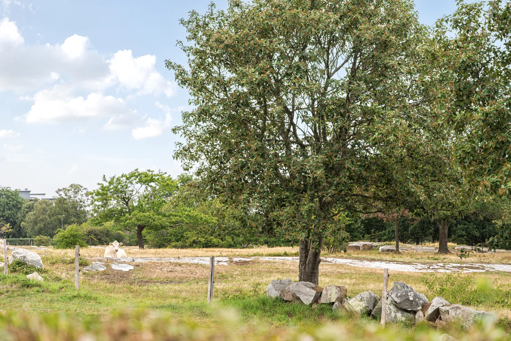 Villa, Ringvägen 17, Simrislund, Simrishamn