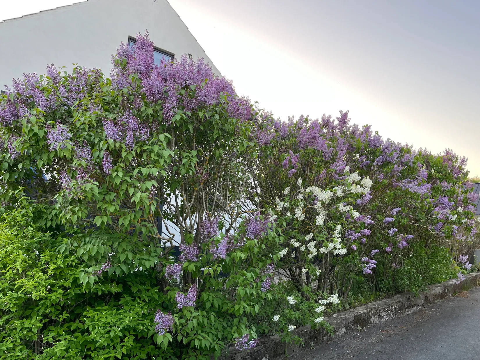 Villa, Stationsgatan 9, Östra Vemmerlöv, Simrishamn