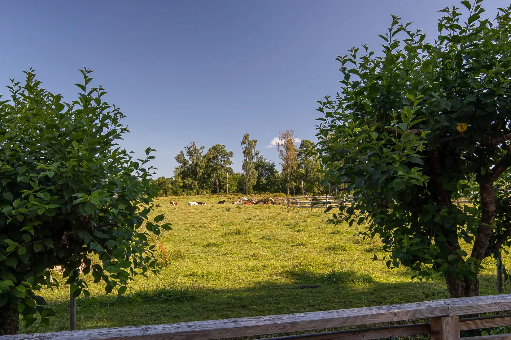 Villa, Humlebron 1, Igelstorp, Skövde