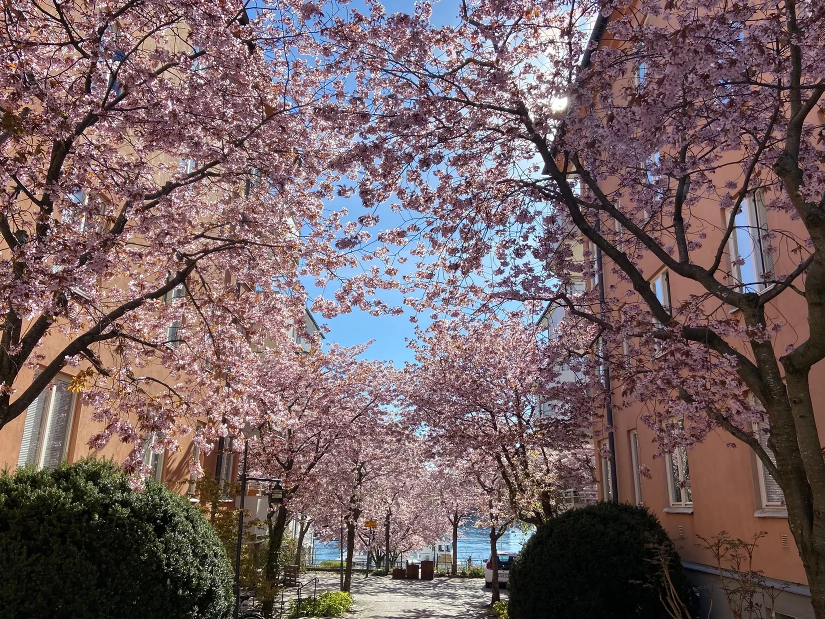 Bostadsrätt, Tengdahlsgatan 42, Södermalm  - Sofia, Stockholm