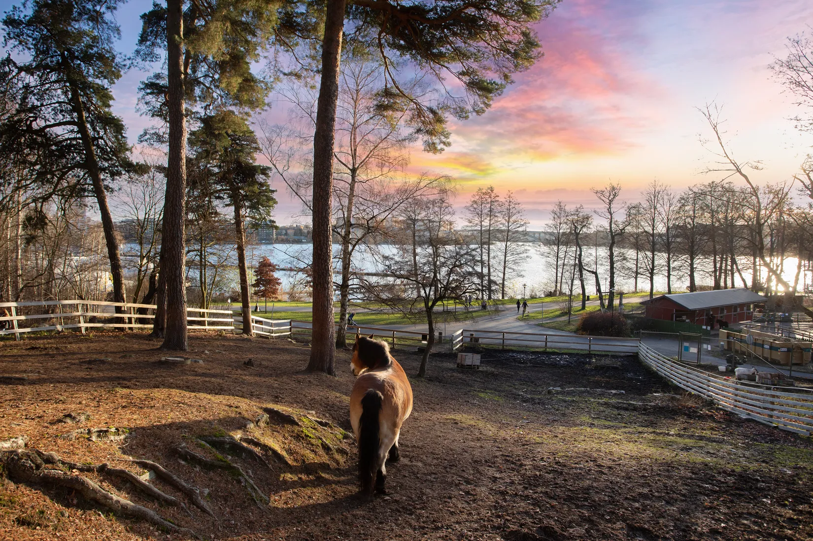 Bostadsrätt, Johan Enbergs väg 28, vån 5, Västra Skogen, Solna