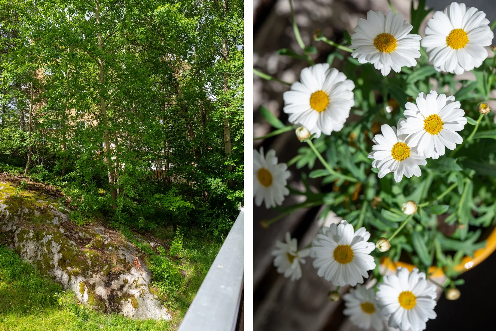 Bostadsrätt, Sköndalsvägen 98, Stockholm