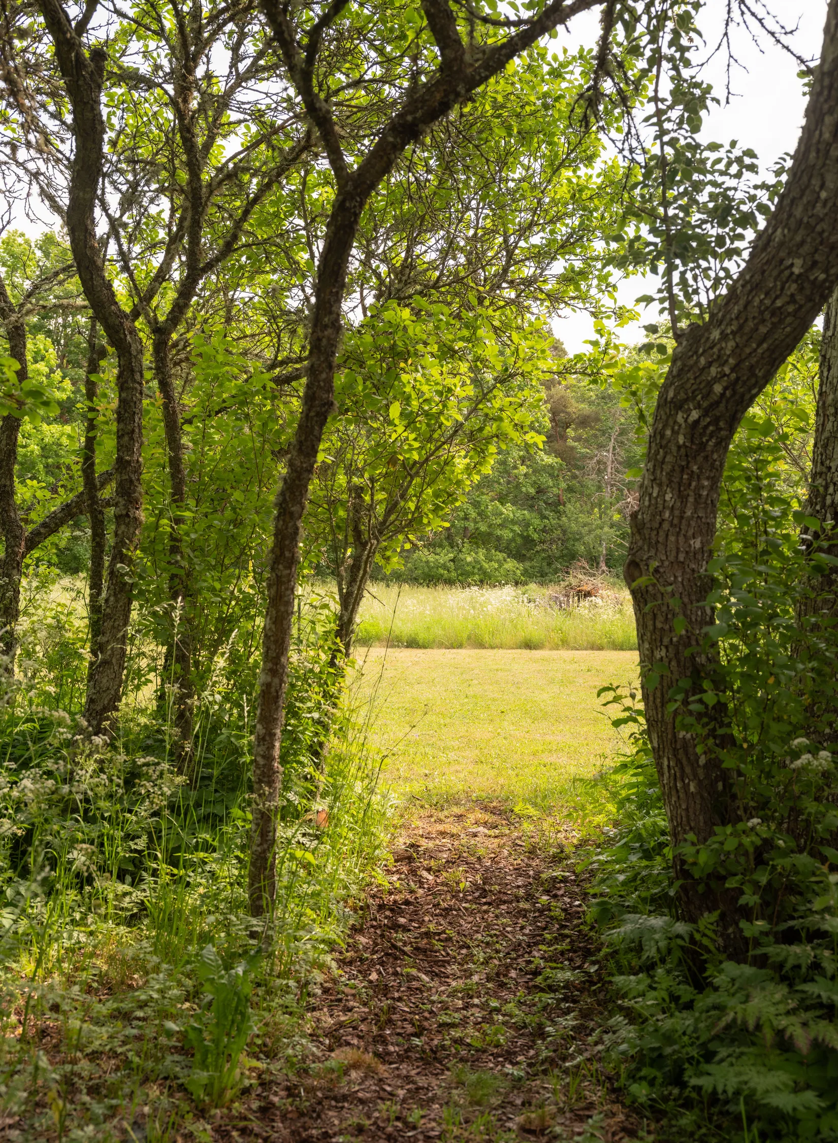 Fritidshus, Vänge Skogs 161, Vänge, Gotland