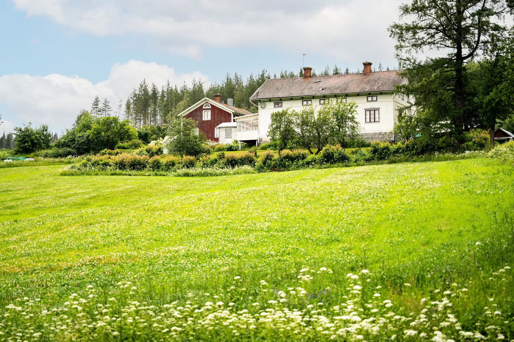Gård/Skog, Hagaris 102, Nätra, Örnsköldsvik