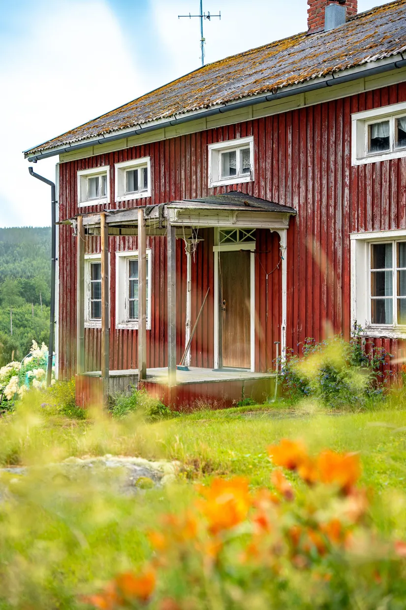Gård/Skog, Hagaris 102, Nätra, Örnsköldsvik