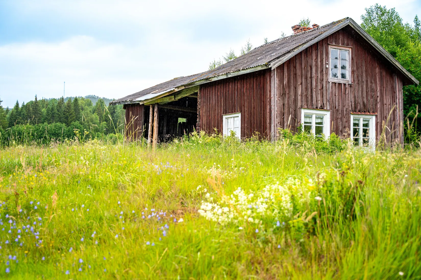 Gård/Skog, Hagaris 102, Nätra, Örnsköldsvik