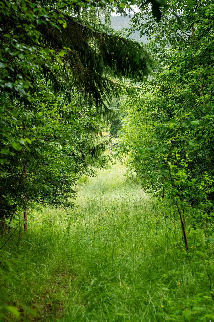 Gård/Skog, Hagaris 102, Nätra, Örnsköldsvik