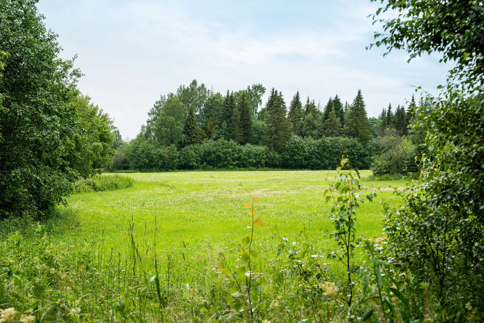 Gård/Skog, Hagaris 102, Nätra, Örnsköldsvik