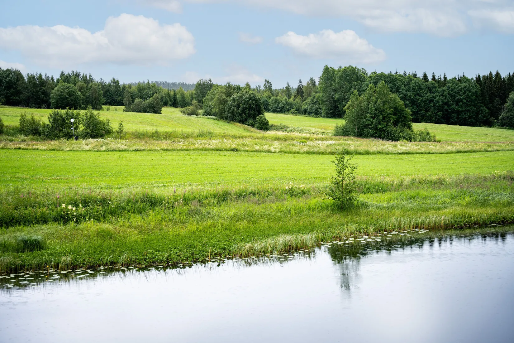 Gård/Skog, Hagaris 102, Nätra, Örnsköldsvik