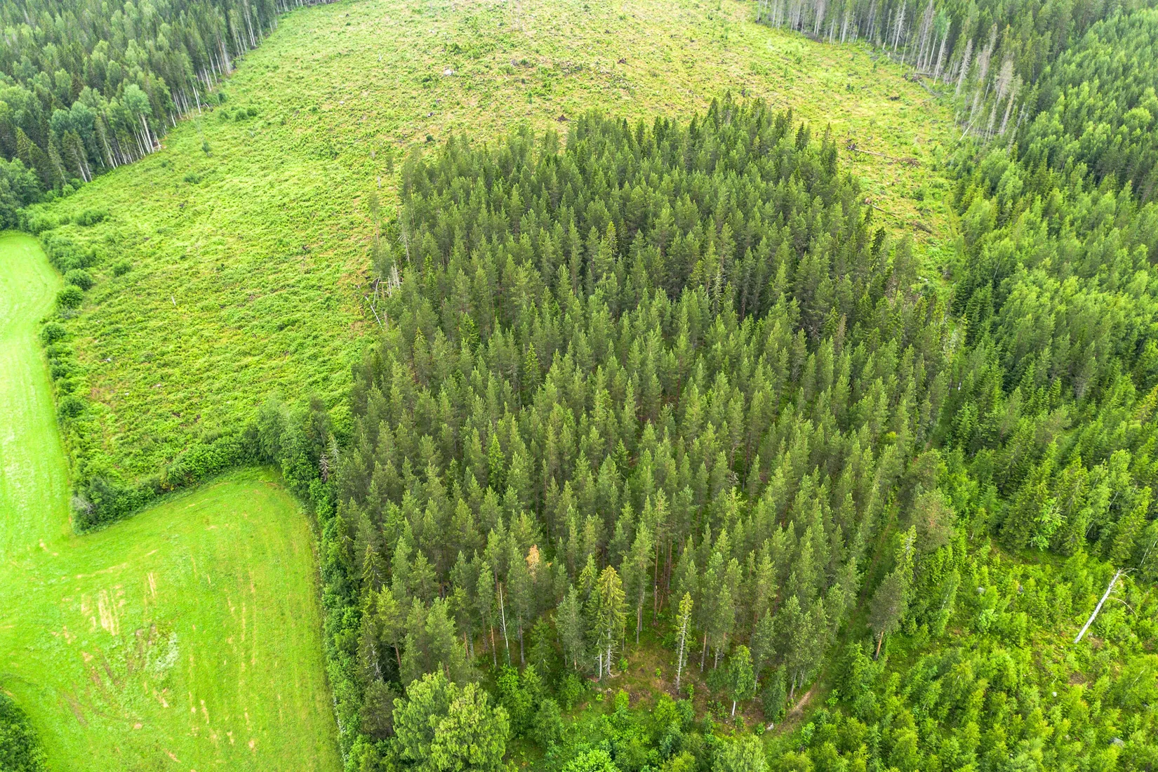 Gård/Skog, Hagaris 102, Nätra, Örnsköldsvik
