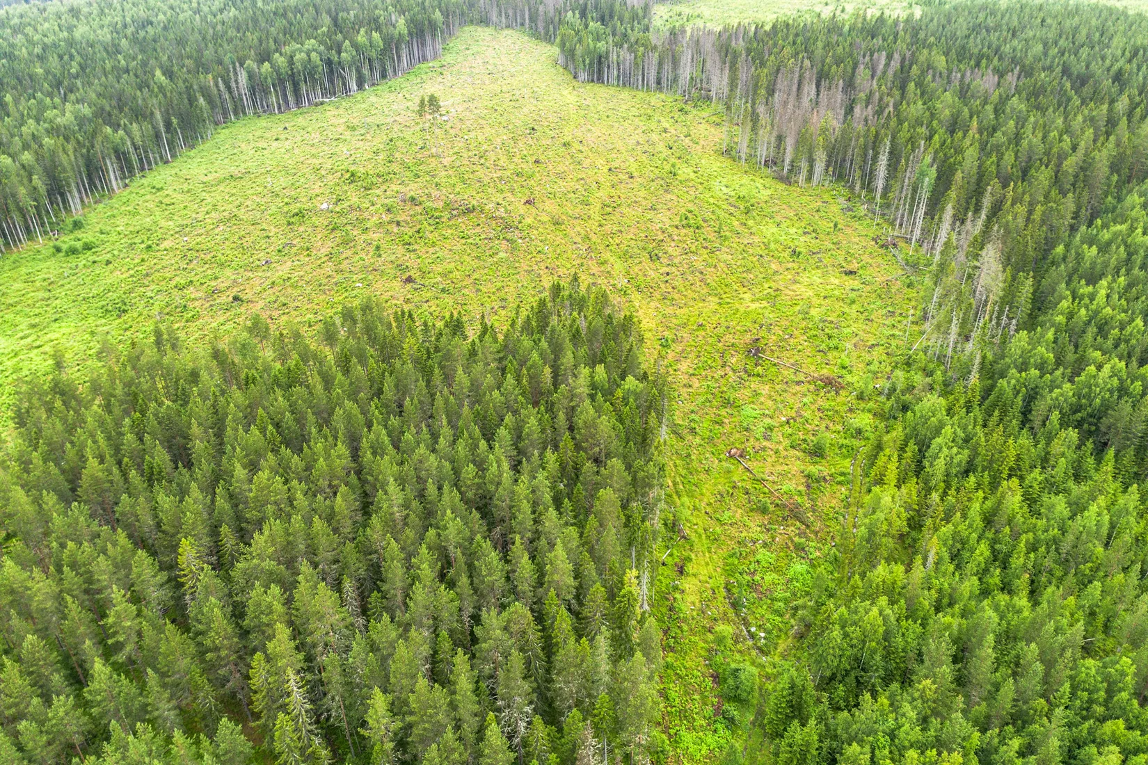 Gård/Skog, Hagaris 102, Nätra, Örnsköldsvik