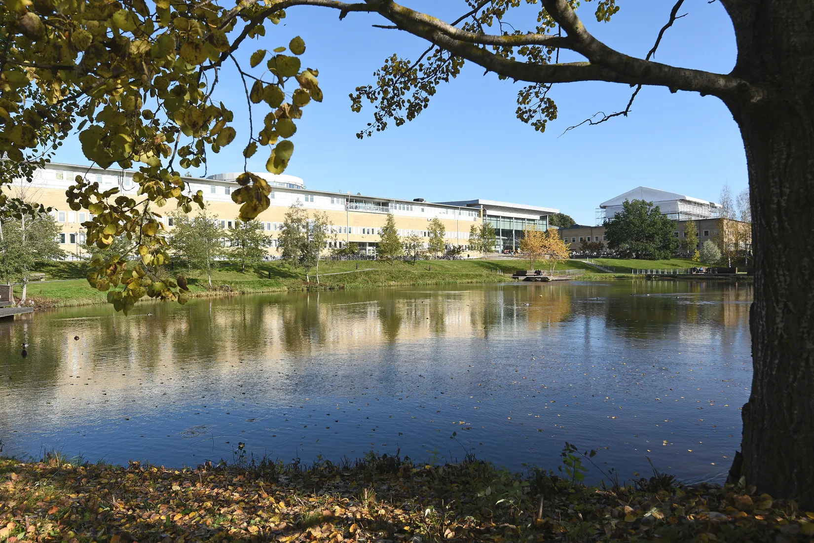 Bostadsrätt, Rågången 6c, Berghem, Umeå