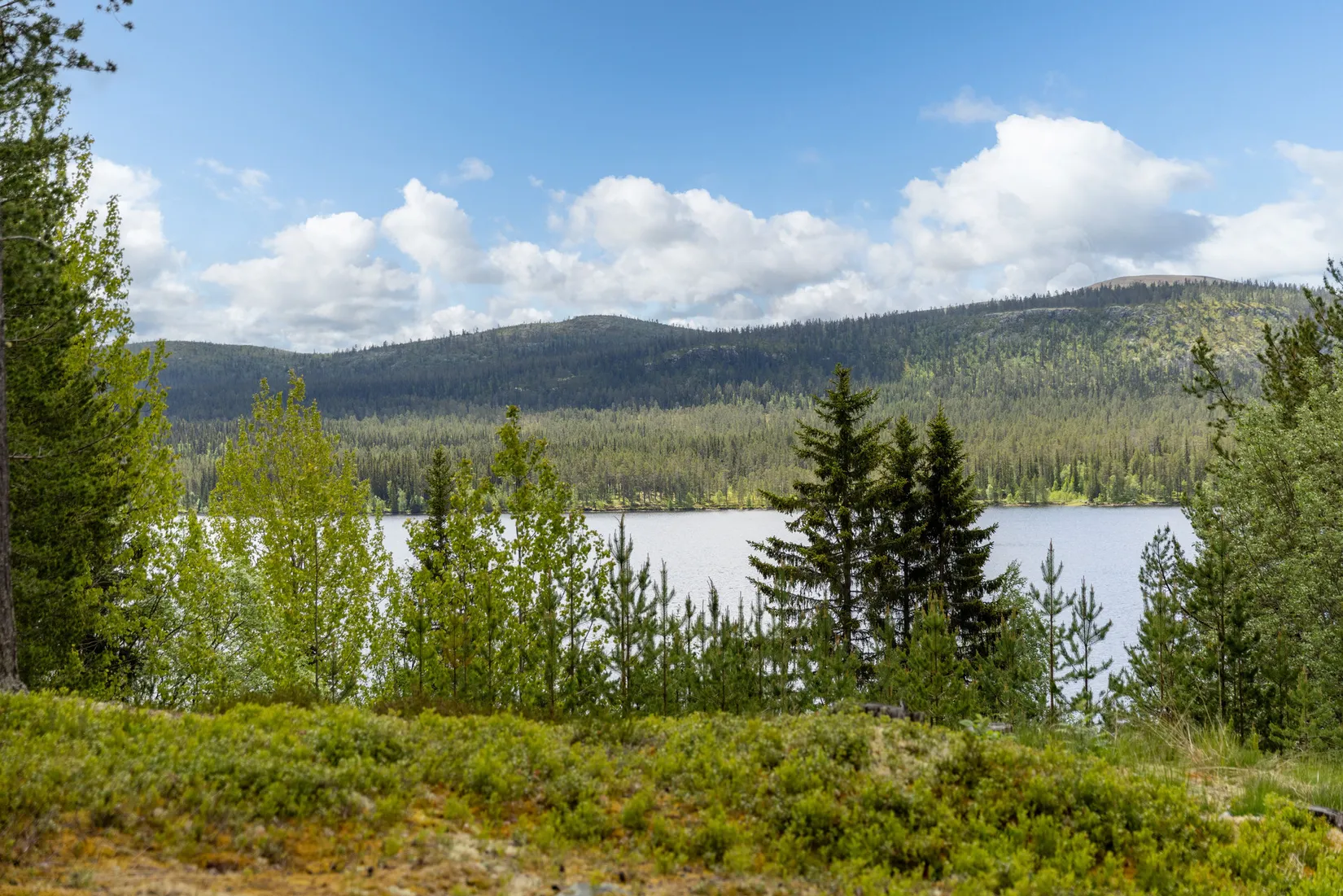 Fritidshus, Lofsdalsvägen 49, Härjedalen