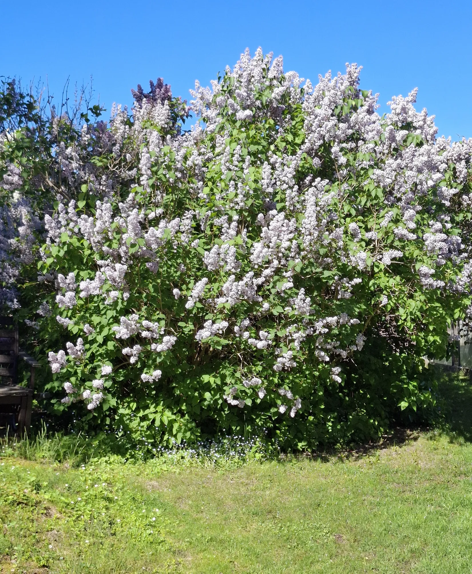 Villa, Lovisedalshöjden 35, Västra Bällsta, Vallentuna