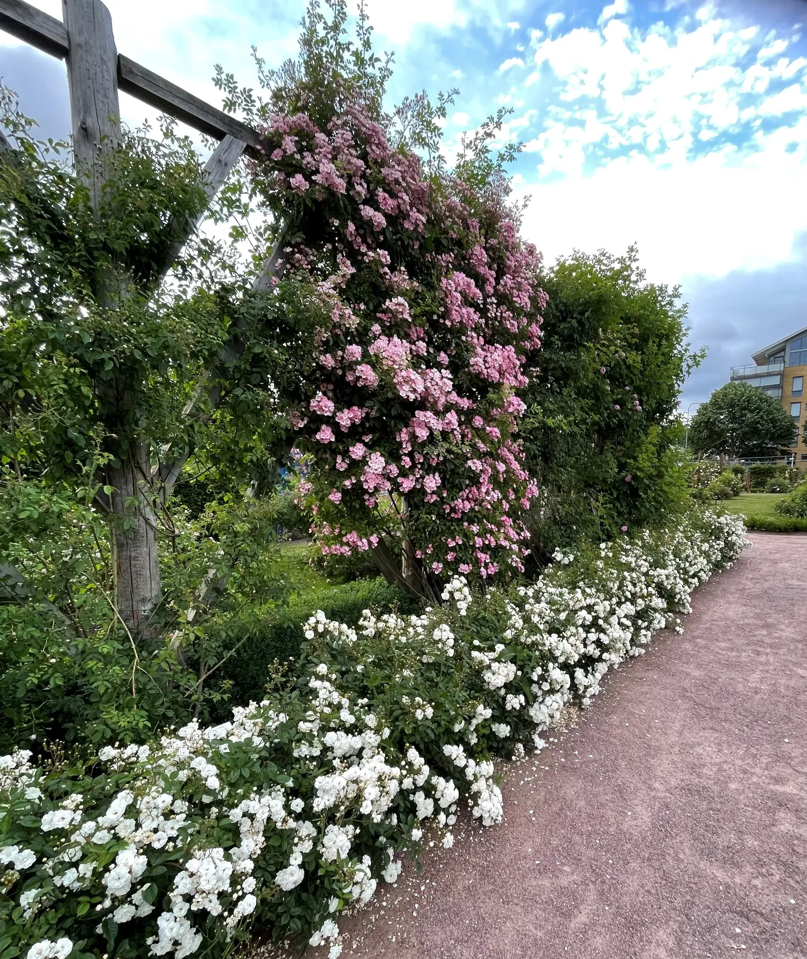 Bostadsrätt, Gillesgatan 9B, Liljeholmen, Jönköping