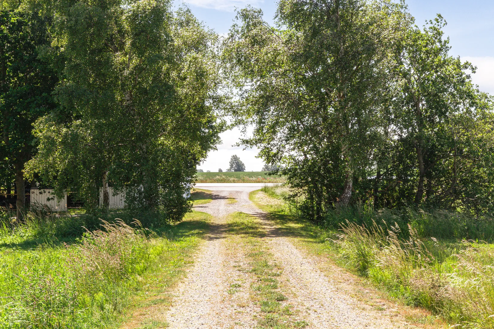 Gård/Skog, Österleden 1227-14, Glemmingebro, Ystad