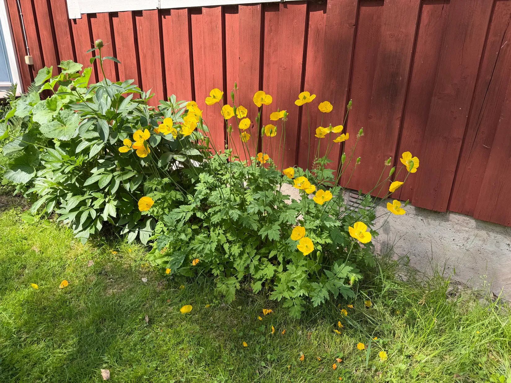 Fritidshus, Norregårdsstigen 44, Björkdal, Norrtälje