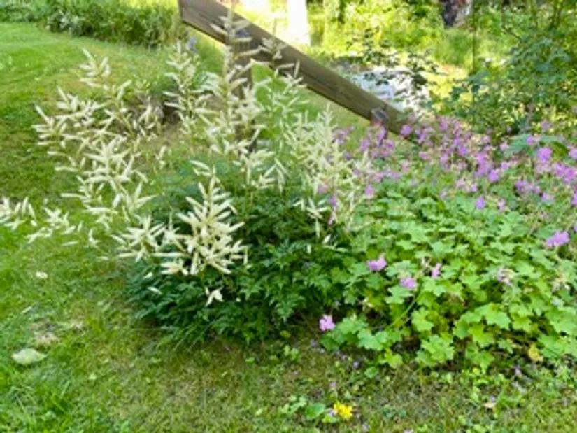 Fritidshus, Norregårdsstigen 44, Björkdal, Norrtälje