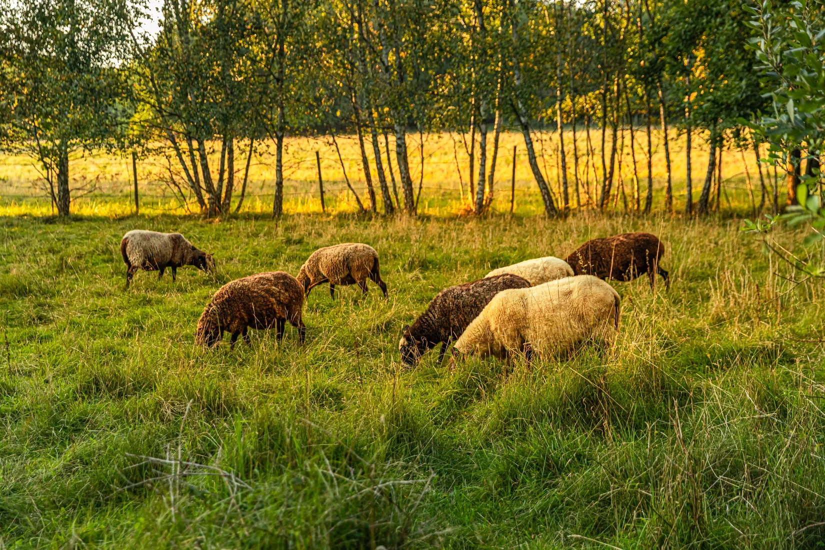 Radhus, Spannmålsvägen 22, Dalby, Lund