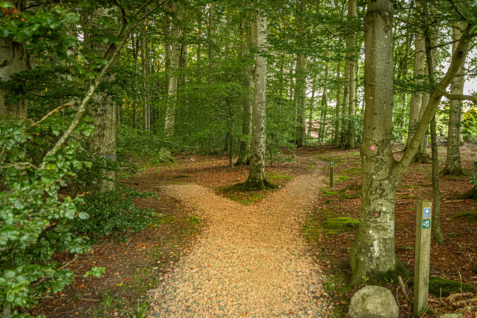 Radhus, Spannmålsvägen 22, Dalby, Lund