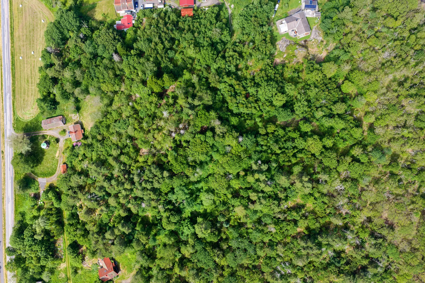 Gård/Skog, Östra Särövägen 46, Vallda, Kungsbacka