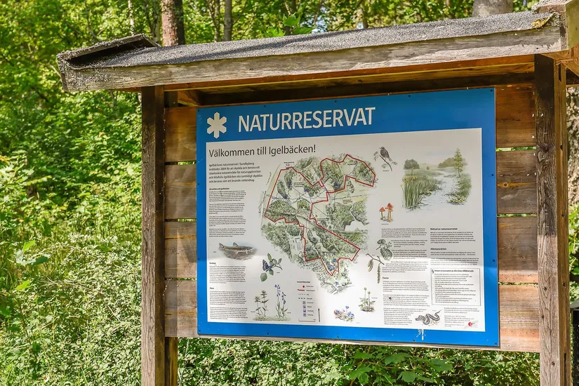 Radhus, Gåsörtsvägen 43, Ursvik, Sundbyberg