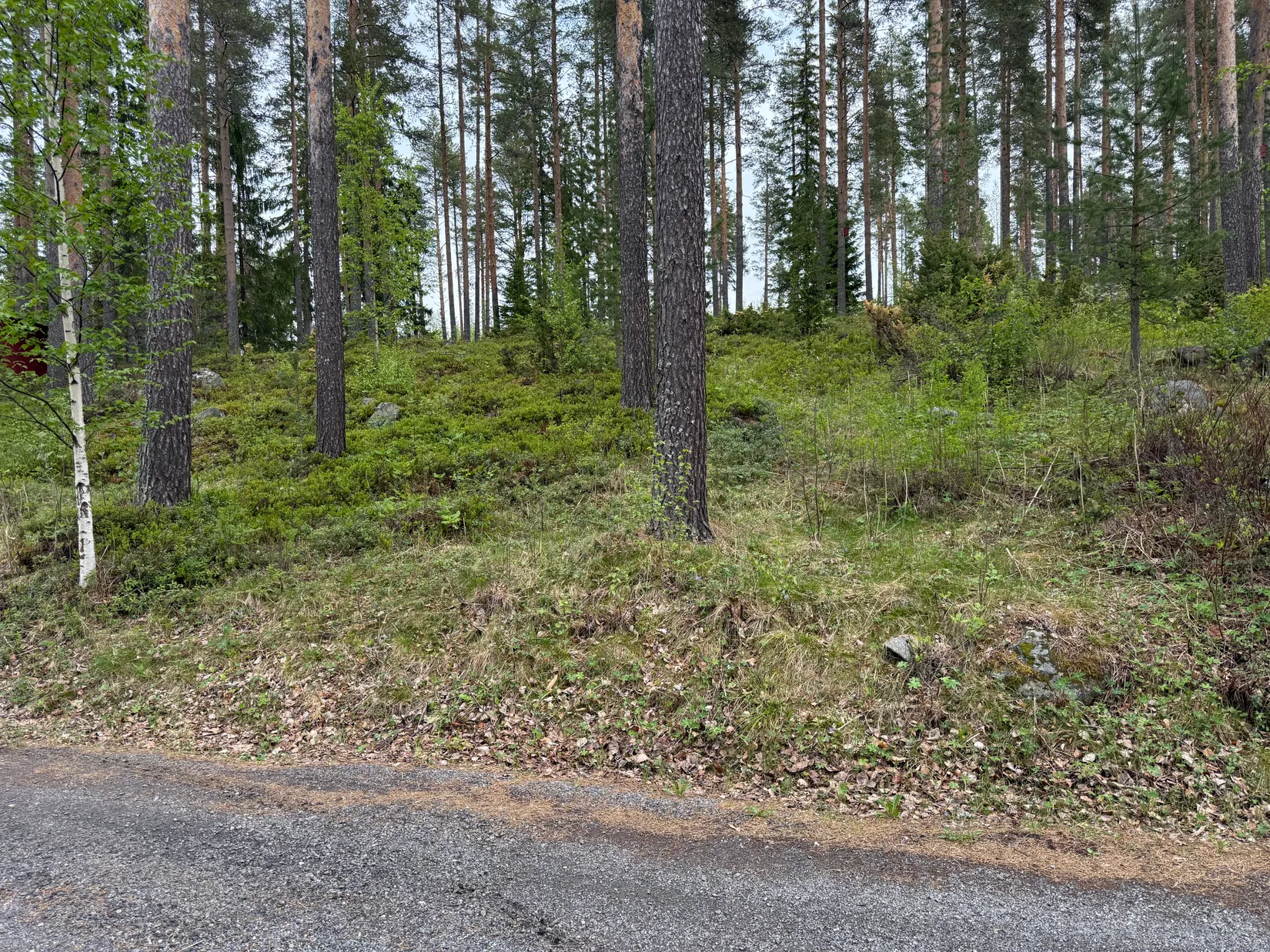 Tomt, Falkträsket 47, Falkträsket, Skellefteå