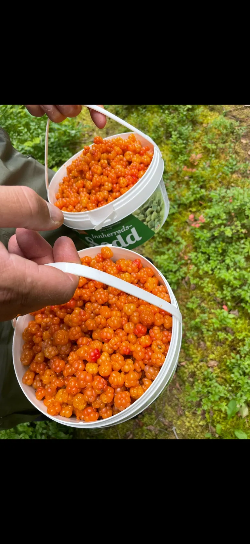 Fritidshus, Enaforsvägen 365, Enafors, Åre
