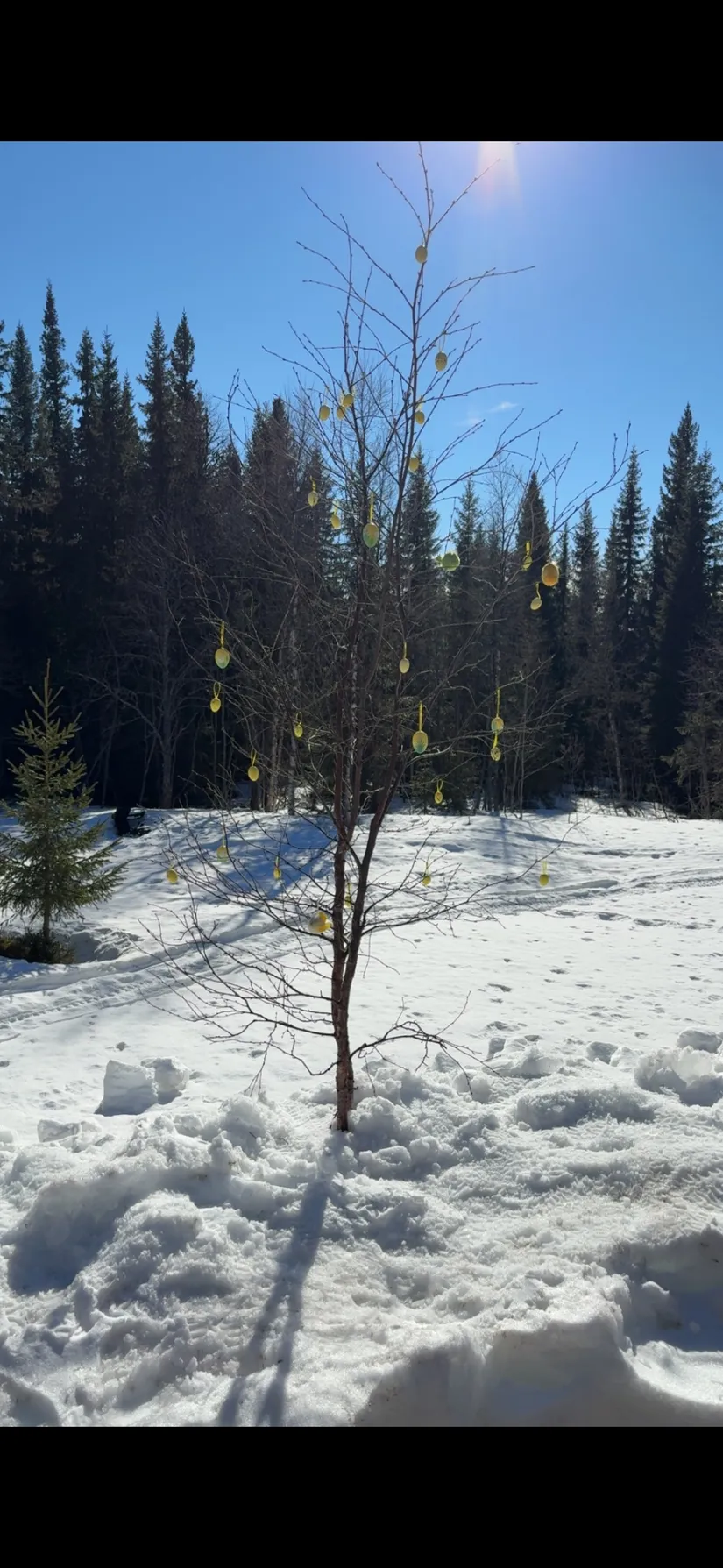 Fritidshus, Enaforsvägen 365, Enafors, Åre