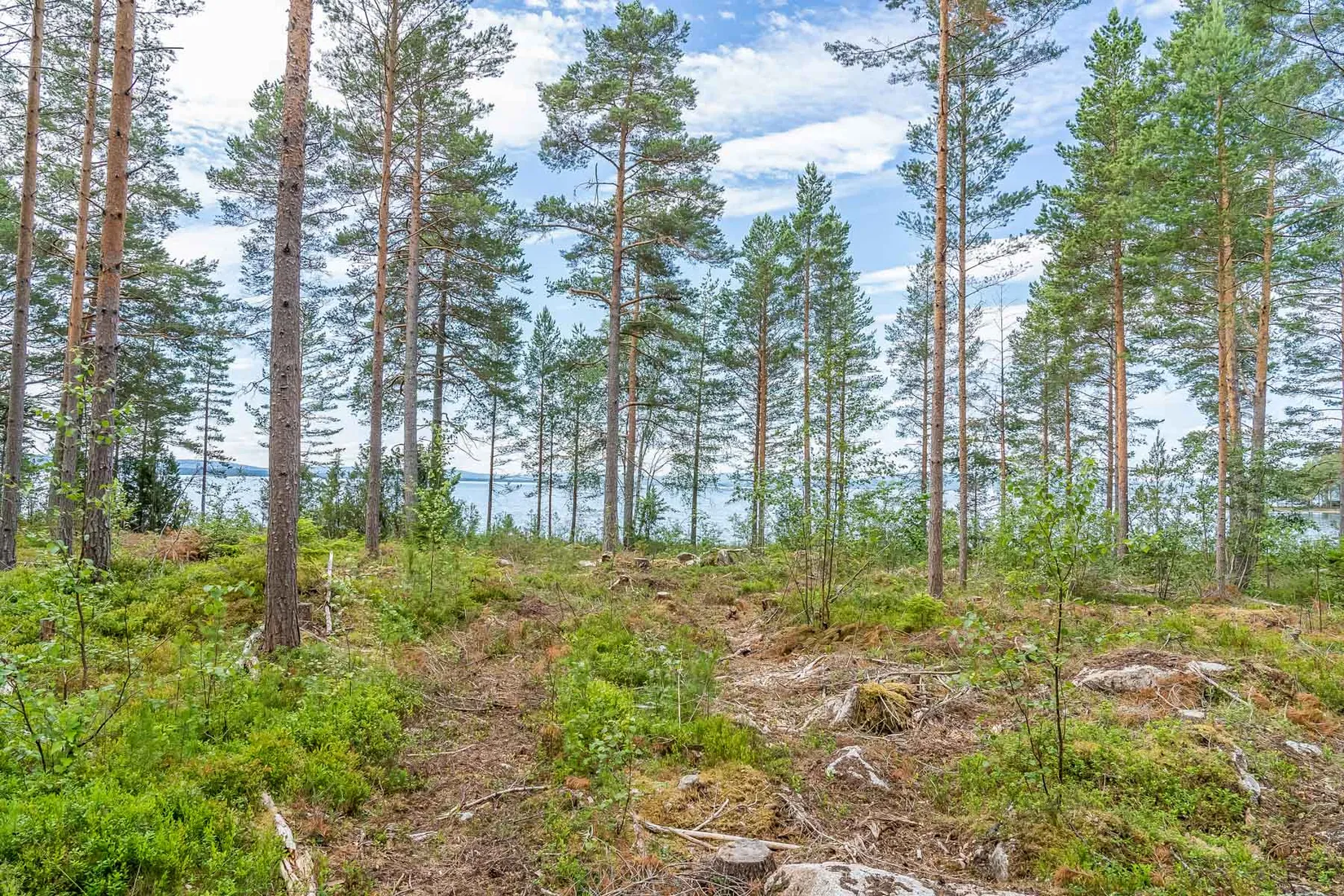 Gård/Skog, efter Stumsnäs - Sjövägen, Leksand