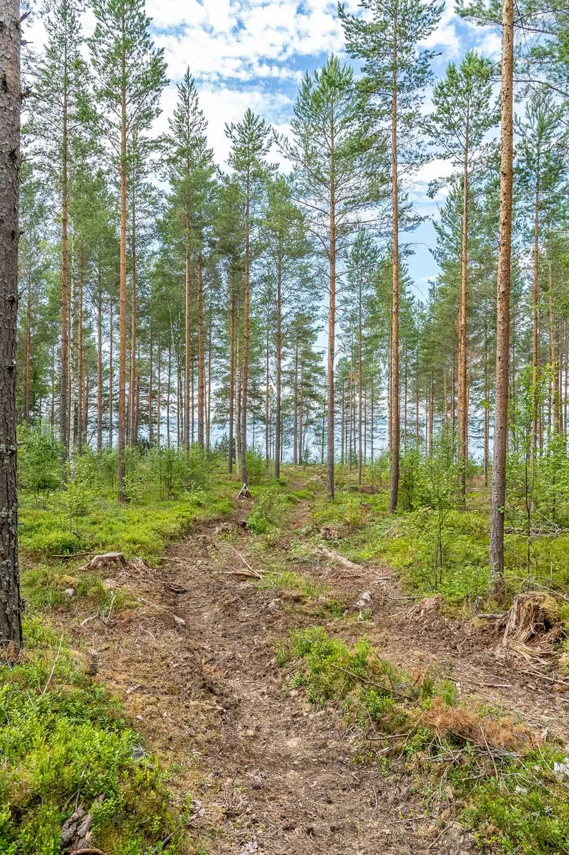 Gård/Skog, efter Stumsnäs - Sjövägen, Leksand