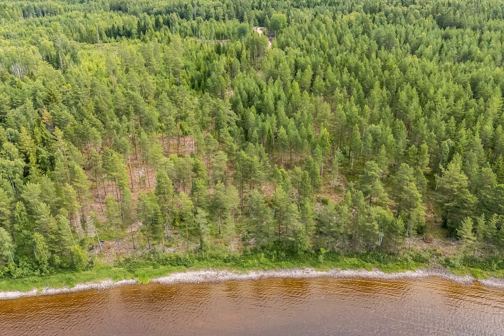 Gård/Skog, efter Stumsnäs - Sjövägen, Leksand