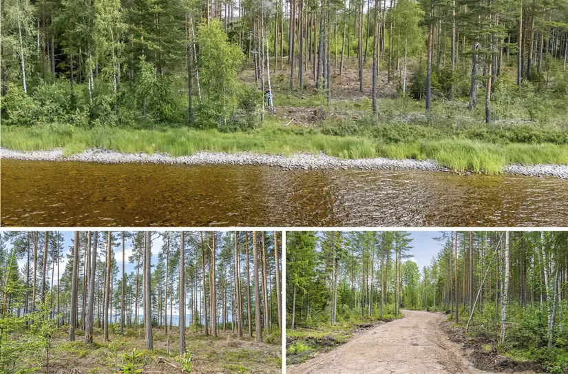 Gård/Skog, efter Stumsnäs - Sjövägen, Leksand