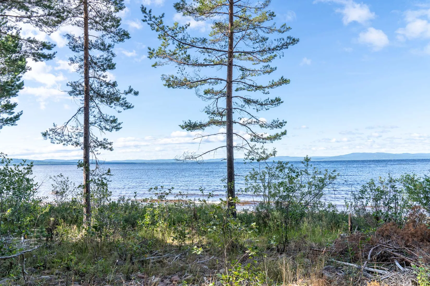 Gård/Skog, Stumsnäs - efter Sjövägen, Stumsnäs, Leksand