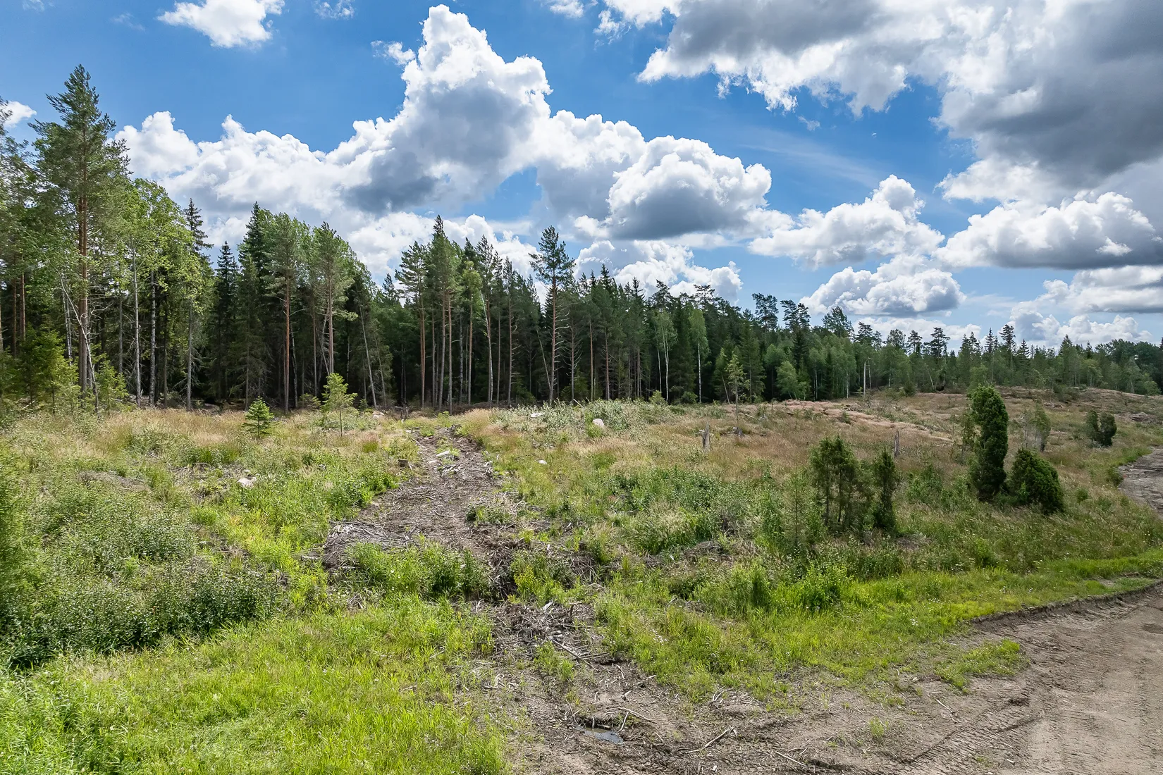 Tomt, Fiby 55, Jumkil, Uppsala