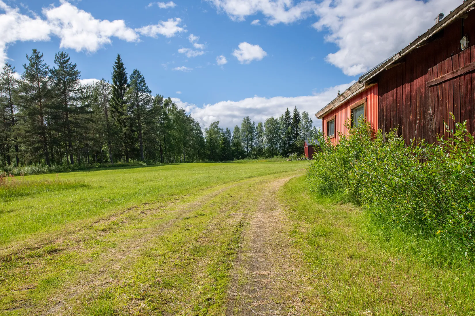 Gård/Skog, Kläppen 48, Kläppen, Norsjö