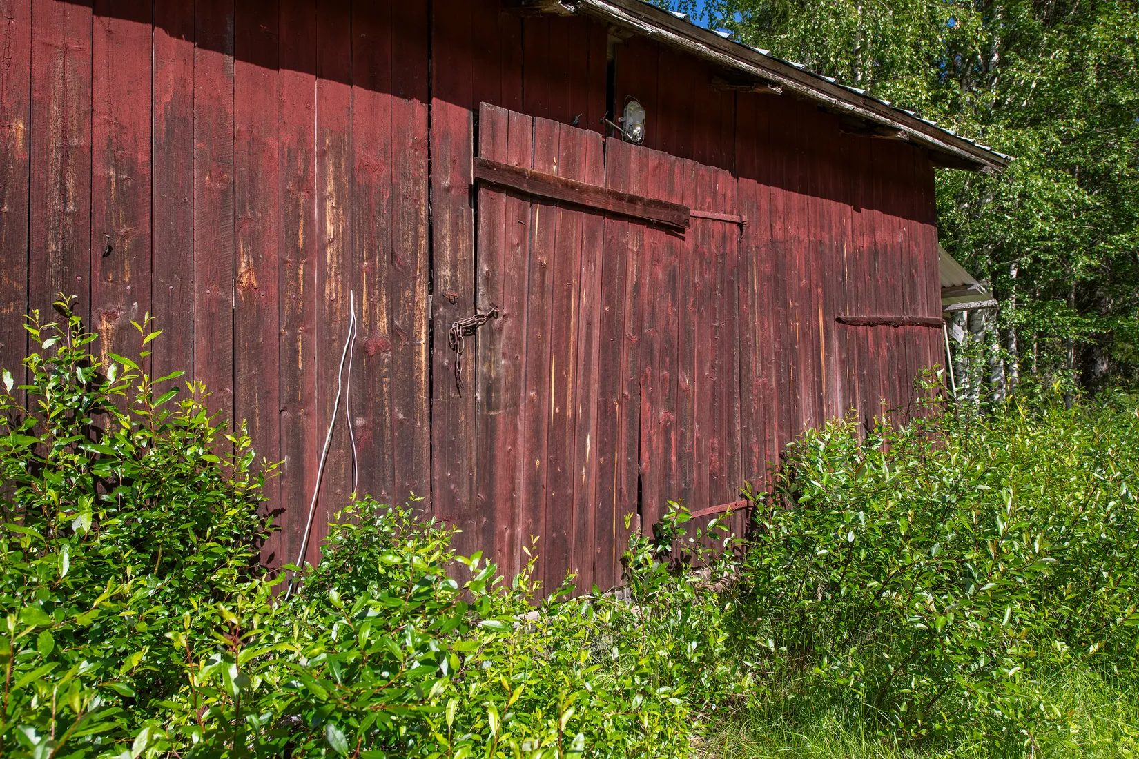 Gård/Skog, Kläppen 48, Kläppen, Norsjö