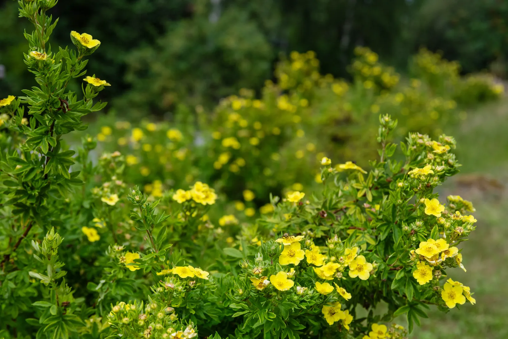 Övrigt, Havsvägen 26, Hammarskogen, Norrtälje