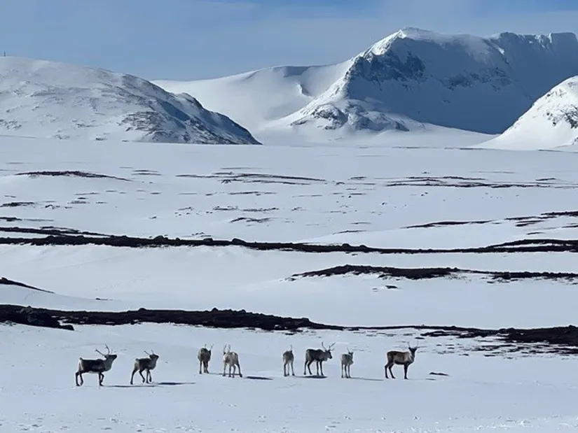 Fritidshus, Snasahögarna Getryggen 8, Snasahögarnas Fritidsby, Åre